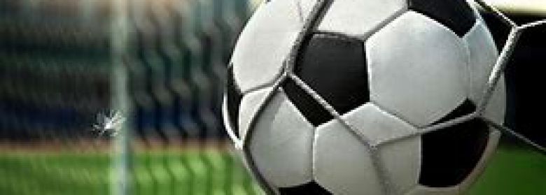 trainingsschema op de site